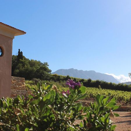 La Bastide - Le Grenache - Le Syrah Au Domaine Chateau Henri Bonnaud Le Tholonet Екстер'єр фото