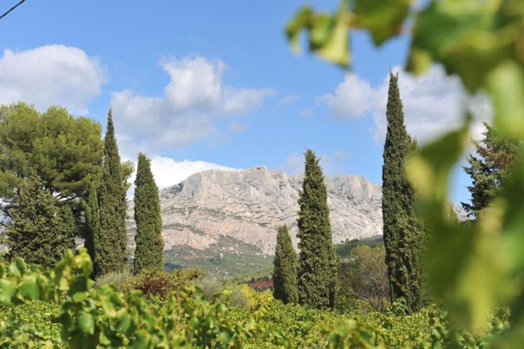 La Bastide - Le Grenache - Le Syrah Au Domaine Chateau Henri Bonnaud Le Tholonet Екстер'єр фото