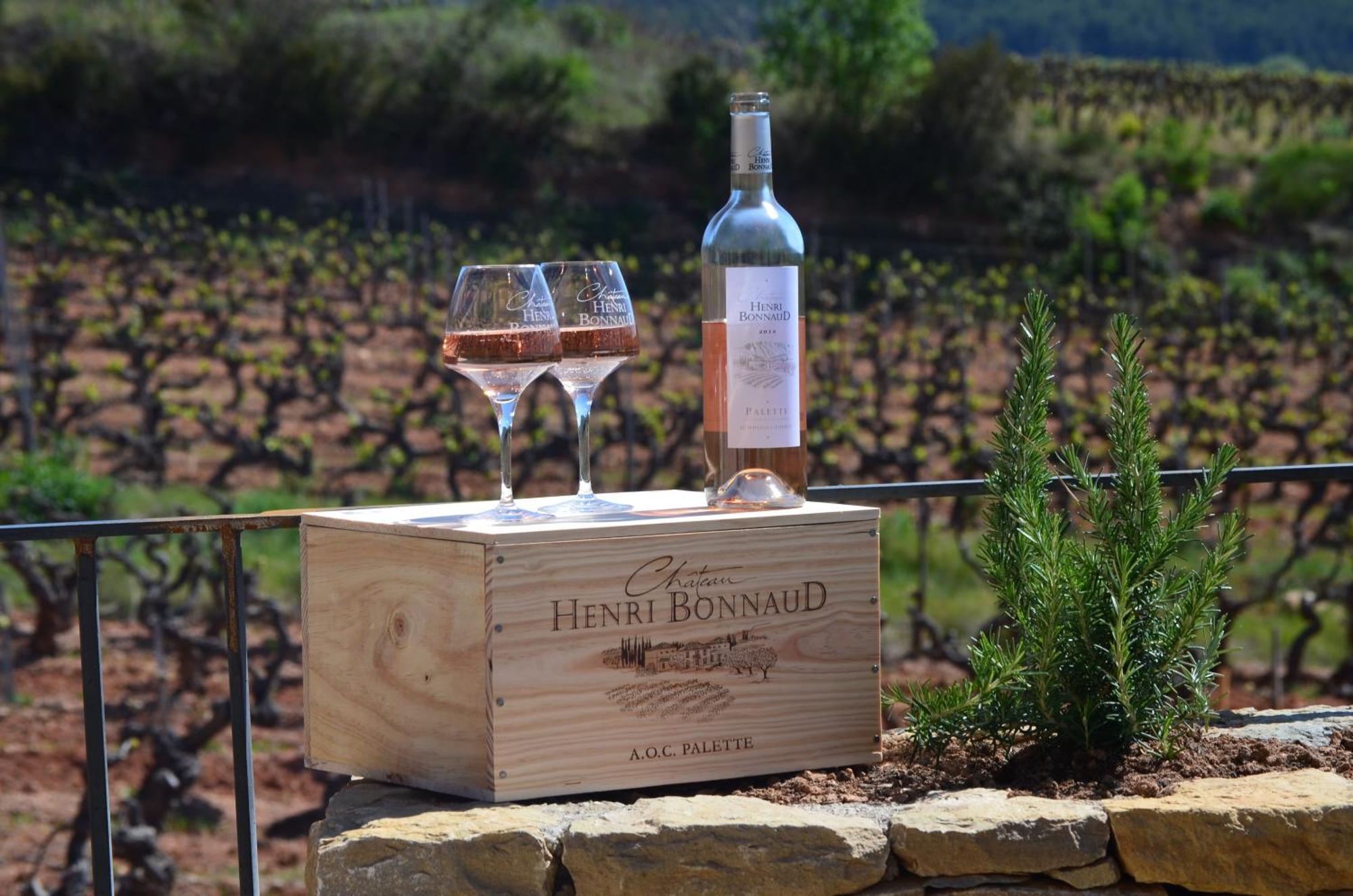 La Bastide - Le Grenache - Le Syrah Au Domaine Chateau Henri Bonnaud Le Tholonet Екстер'єр фото