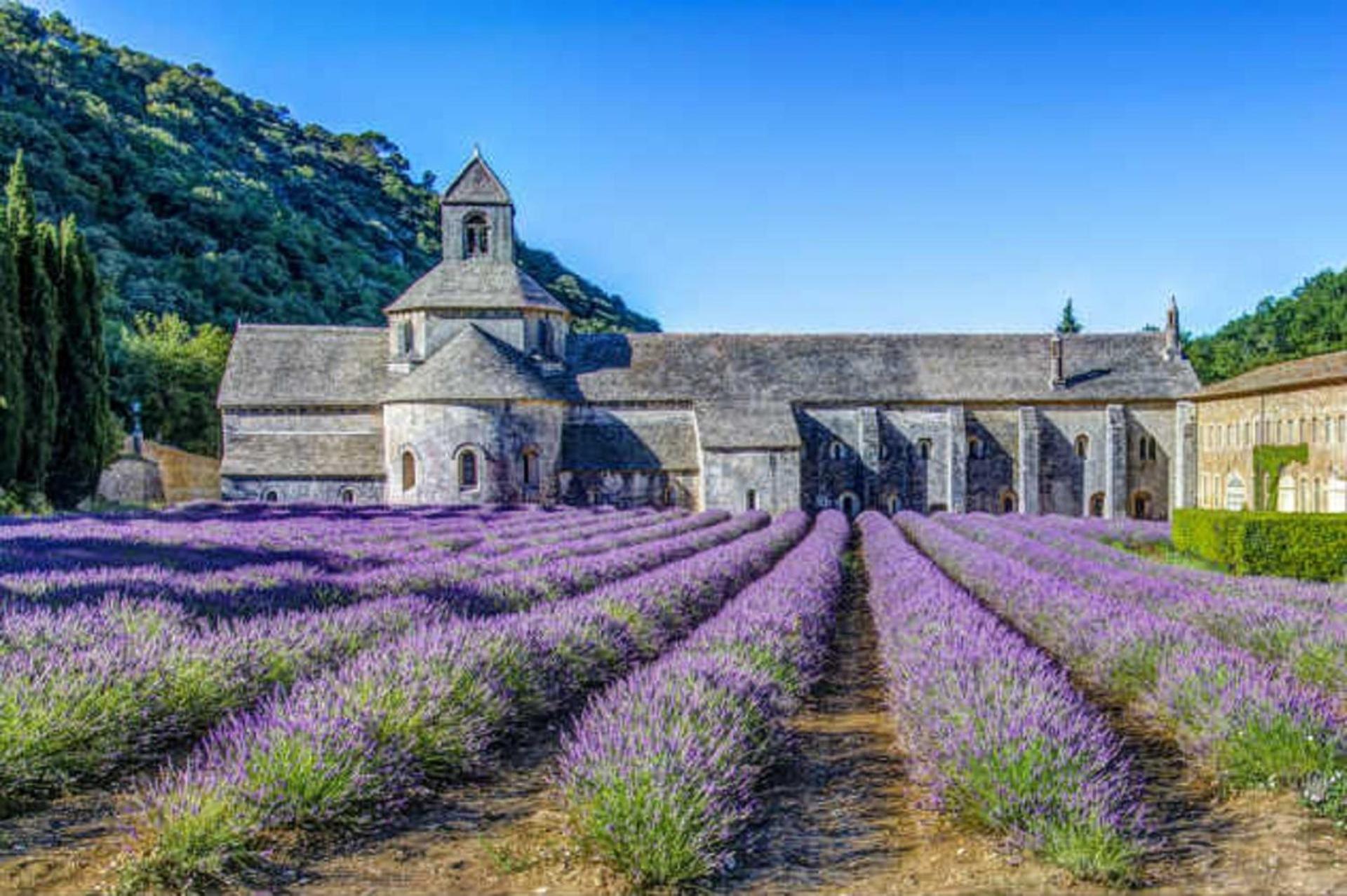 La Bastide - Le Grenache - Le Syrah Au Domaine Chateau Henri Bonnaud Le Tholonet Екстер'єр фото